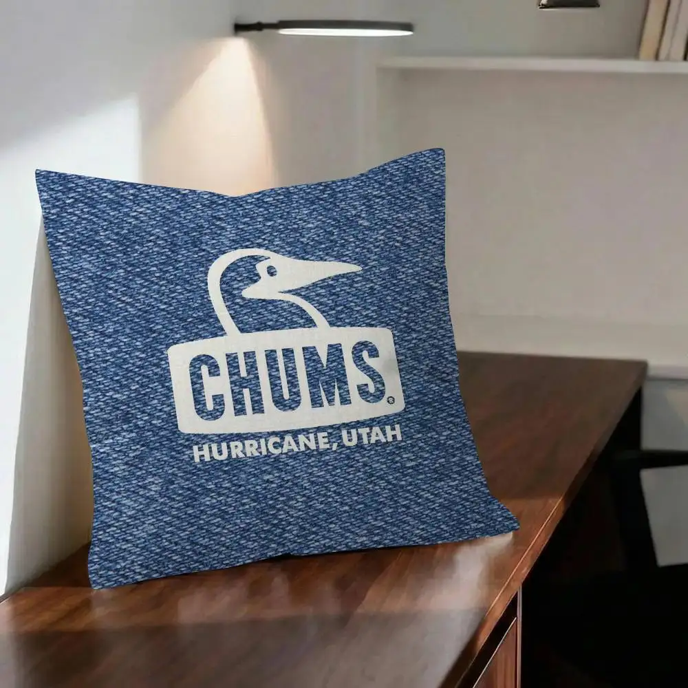 Toon Gift Decorative Pillowcase