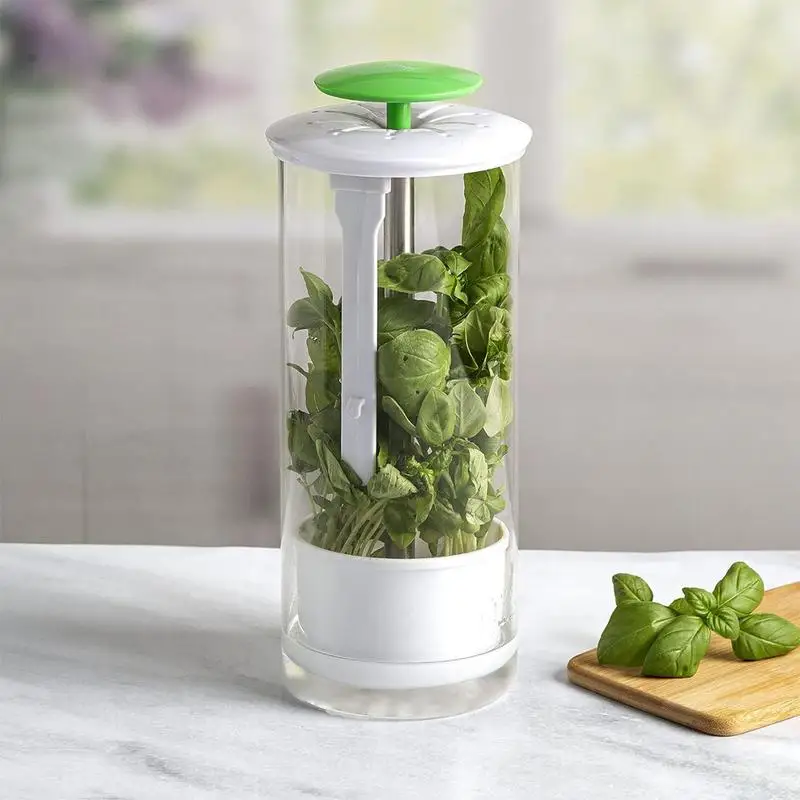 

Herb Crisper Cilantro Container Green Vegetables Storage Saver For Maximum Freshness Cilantro Organizer Keeper With Ventilation