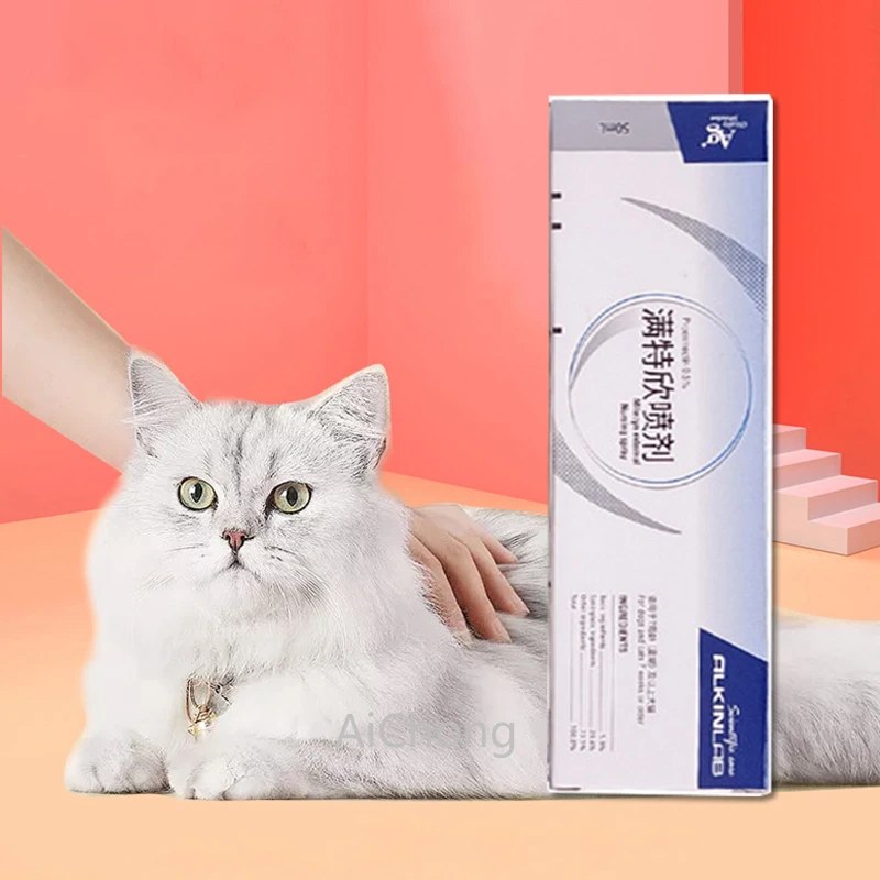 Scabies Treatment For Cats hhfi.in