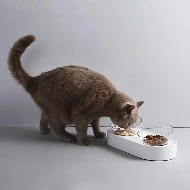 

Feeding Feeder Plastic / Steel Cat Adjustable Dishes Bowls Bowl Drinking Double Water Cup Pet Stainless
