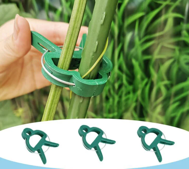 Plastic Plant Flower Support Clips Orchid Stem holder Fixing Vine Support Vegetables Tied Bundle Branch Clamping Garden Tools t