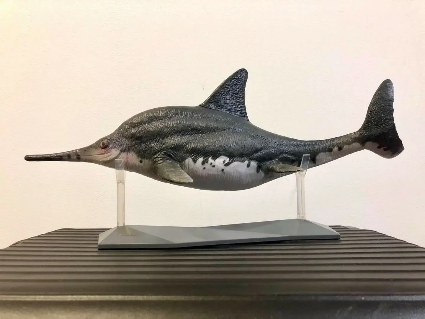 Ophthalmosaurus Size 