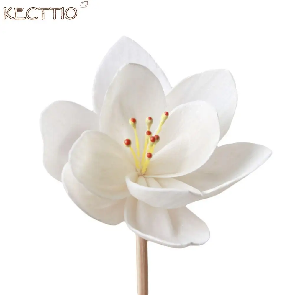 

Tongcaohua-Multipurpose Aromatic Incense Sticks, Aromatic Flower Fragrance, Home Fragrance, Dried Flowers, 5cm