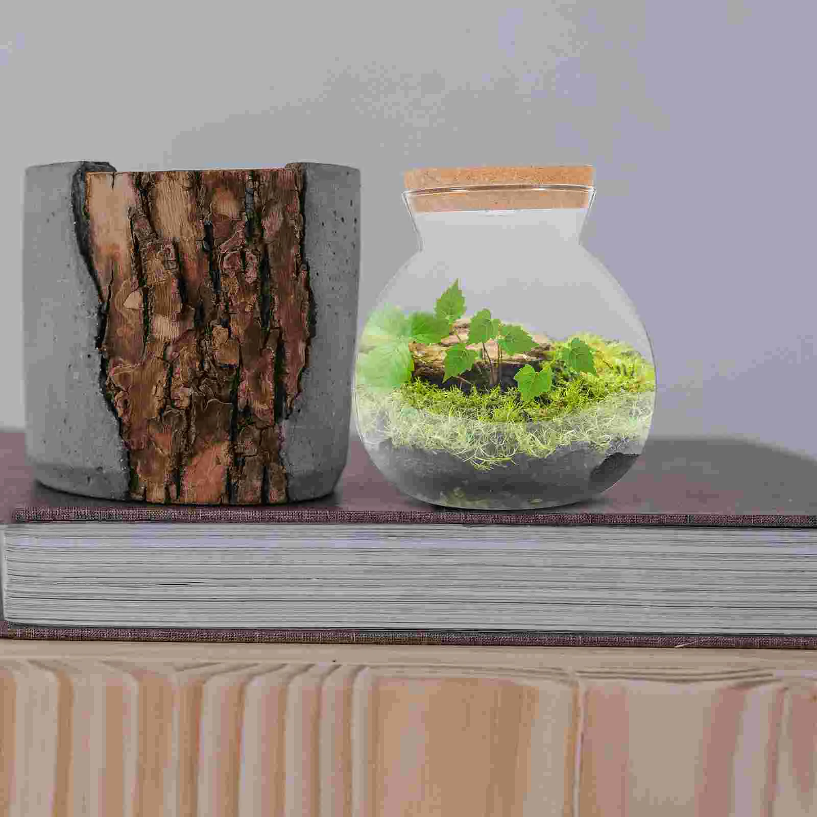 Diy Cylindrical Glass Bottle Led Light Ecological Tank Micro Landscape Aquarium Fish Tank Borosilicate Glass Bottle Pet Products
