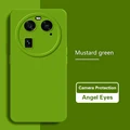Mustard Green
