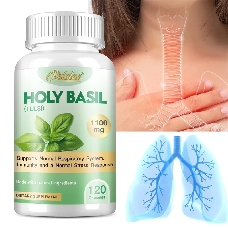 Holy Basil Supplement Supports Respiratory Health Boosts Immunity Non-GMO