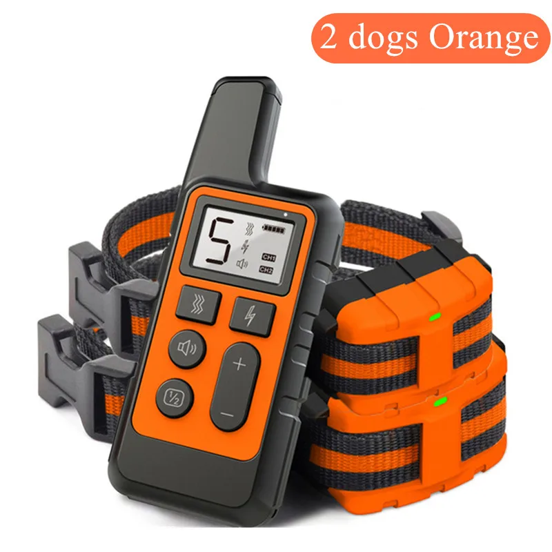 2 dogs orange