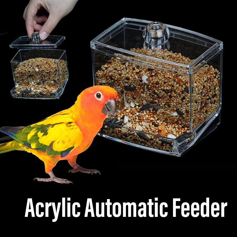 Acrylic Automatic Bird Feeders Chicken Feeding Trough Bird Feeders Parrot Feeder Food Container Cage Automatic Food Feeder