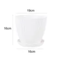 White 19cm