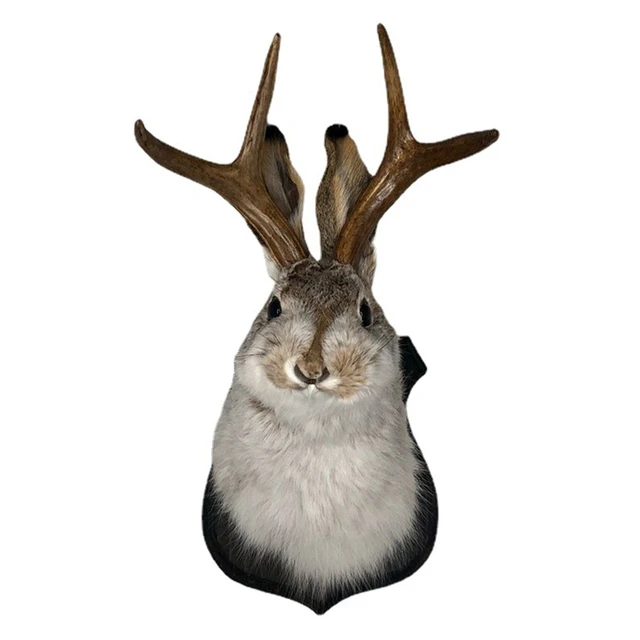 Sculpture de chambre à coucher intérieure, bois de tête de lapin, décoration murale suspendue, Jackalope, support mural d'animal pour la décoration murale de la maison 1