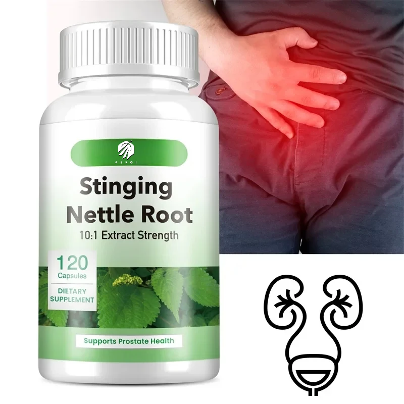 Stinging Nettle Root-Promotes Prostate and Urinary Tract Health, Reduces Frequent Urination