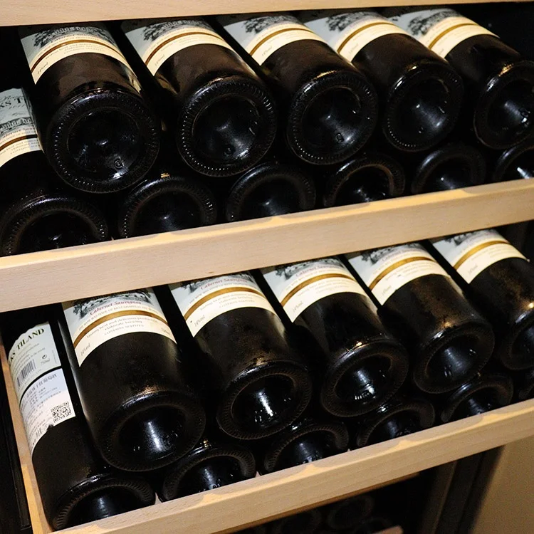 Stainless Steel Thermostatic Wine Cabinet Display Dual Zone Small Wine Cooler Refrigerator