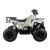 atv