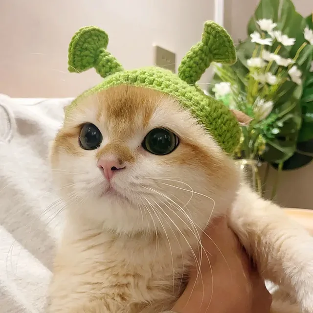 Cute Cat Hat Funny Pets Party Cosplay Headwear Delicate Hemming Pendant Decor Elasticity Knitted Hat Pet Accessories 4