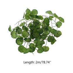 Lush Reptile Terrarium Climbing Vine with Leaves (Begonia vine)