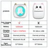 ZWN Portable Bluetooth Mini Printer Mobile Phone Photo Title Note Print Pocket Student Error Label Printer for Children's Gifts 2