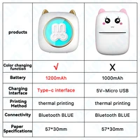 ZWN Portable Bluetooth Mini Printer Mobile Phone Photo Title Note Print Pocket Student Error Label Printer for Children's Gifts 2