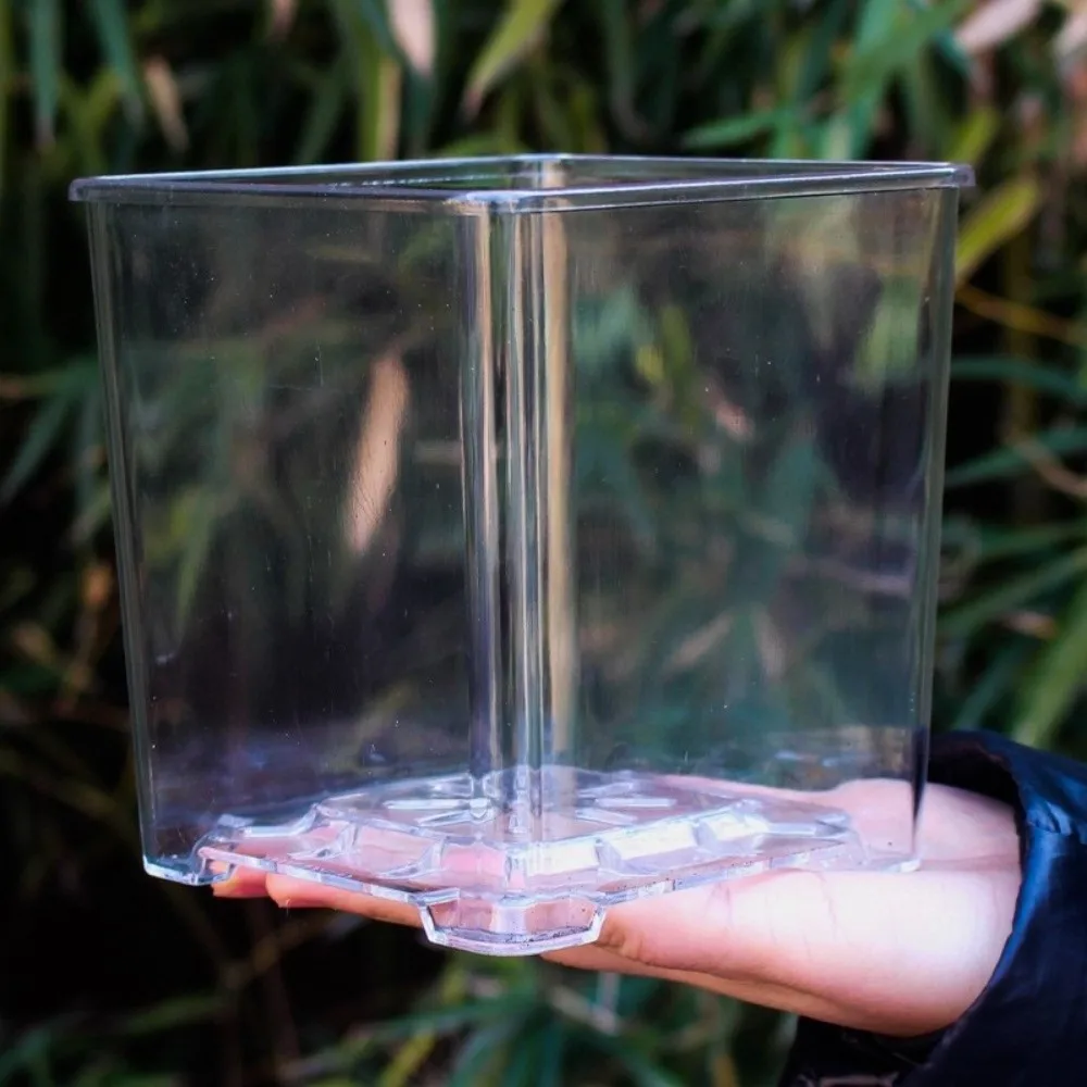 Clear Acrylic Square Planter with Drainage and Breathable Design