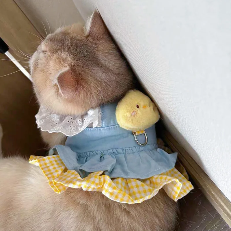 공주 스타일 강아지 목줄 애완동물 인형 강아지 고양이 옷 가을 겨울 시즌 스커트 소형견 및 새끼 고양이용