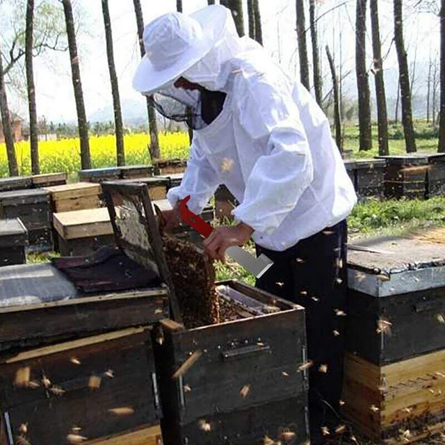 Méhészeti Szerszámok J Formájú Horog Méhész Szerszámkaparó Késkeret -Emelő És Kaparó Rozsdamentes Méhcsalók - Image 5