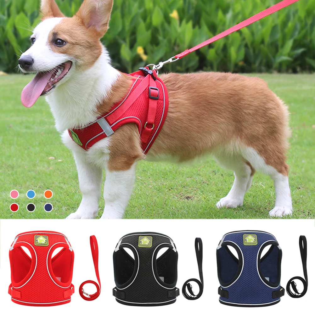 Pet-Cat-Harness-and-Leash-Set-Reflective-Breathable-Harness-for-Cats-Adjustable-Comfort-Dog-Harness-for.jpg