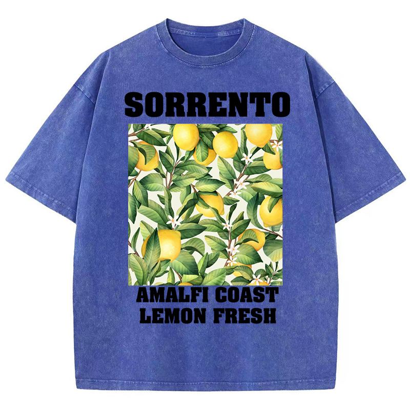 Sorrento Amalfi Coast Lemon Fresh Print Washed Tee Shirts Women Trendy Cotton Streetwear O-Neck Casual T Shirt Loose Sports Top