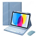 Mistyblue with mouse
