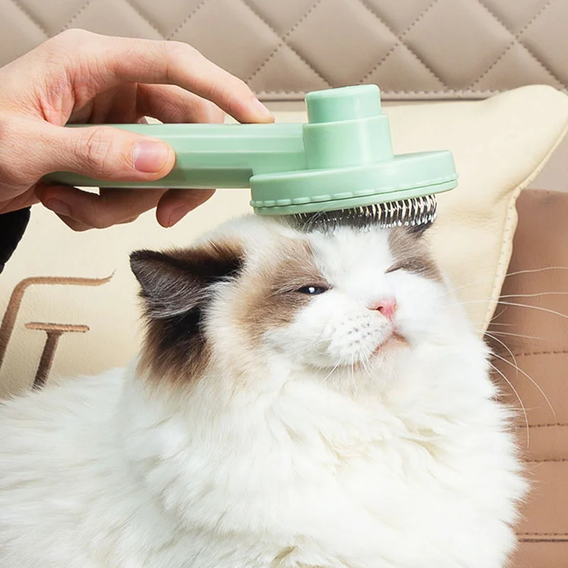 Cat Brush Pet Grooming Brush For Cats Remove Hairs Pets Hair Removal