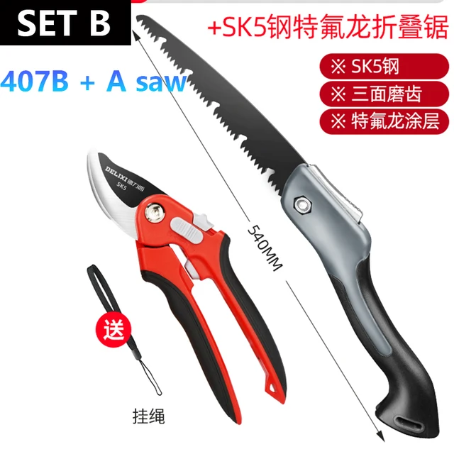 set B