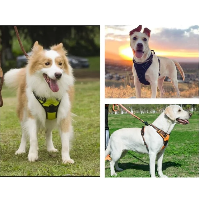 Medium Large Dog Collars Harness Big Vests Harness for Dog Pet Shop Everything for Dogs Small Dogs Harness Puppy Accessories 2