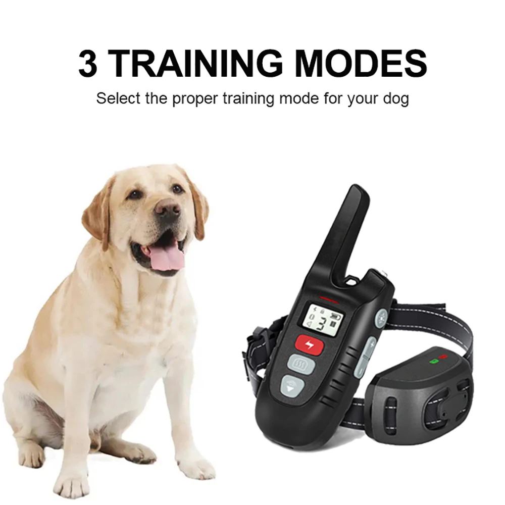 Why Am I Getting Electric Shocks From My Dog