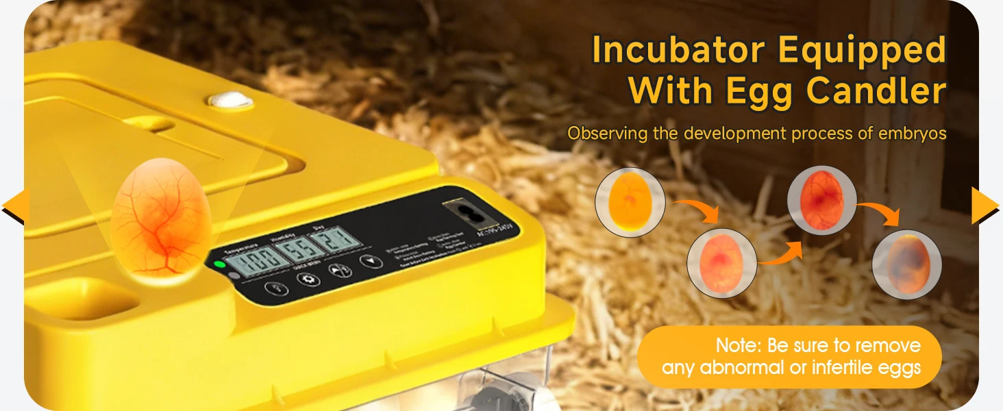 incubator close-up details