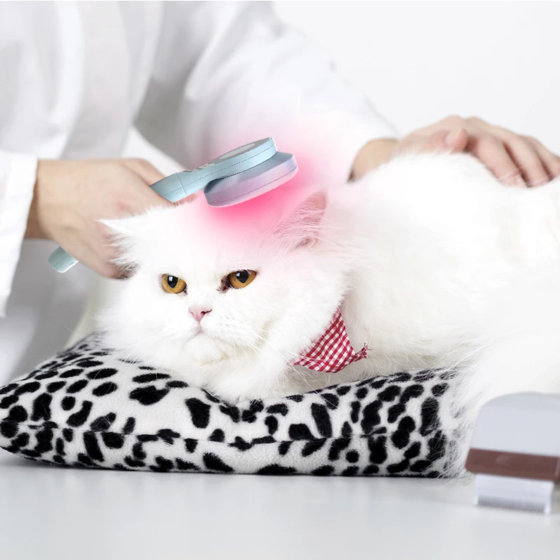 Professional Veterinary Equipment Pain Relief Device  Portable 2023 New Released 650nm 808nm Cold Laser 5
