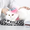 Professional Veterinary Equipment Pain Relief Device  Portable 2023 New Released 650nm 808nm Cold Laser 5