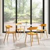 Modern Stackable Dining Chair Set, No Assembly, Plastic Chair, Patio Chair, Suitable for Indoor and Outdoor Cafes and Restaurant 2