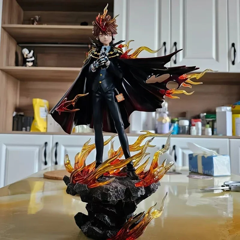 Аниме Sawada Tsunayoshi Фигурки HITMAN REBORN! Katekyo Hitman Reborn ...