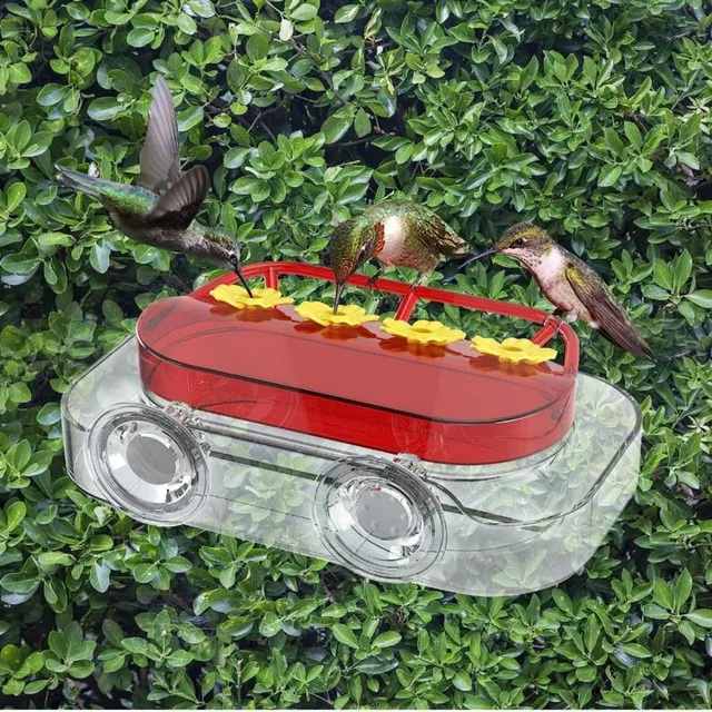 Window Hummingbird Feeders Hanging Hummingbird Feeder with Suction Cup Tabletop Humming Bird Feeder Bird Water Station Trays 3
