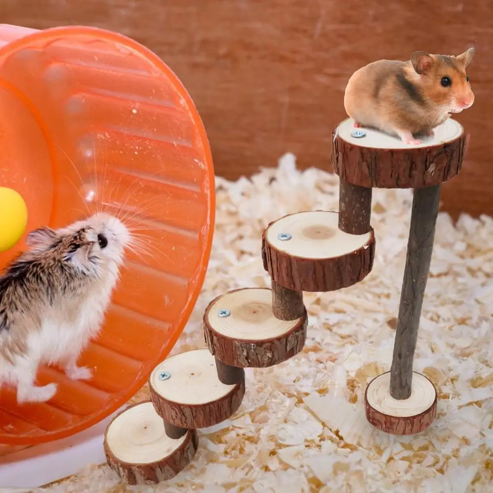 COLLBATH Hamster Escada De Escalada Pequena Plataforma Para Animais De  Estimação Chinchila Brinquedos Escada Decorativa Brinquedo Balanço De  Madeira Acessórios Para Animais De Estimação