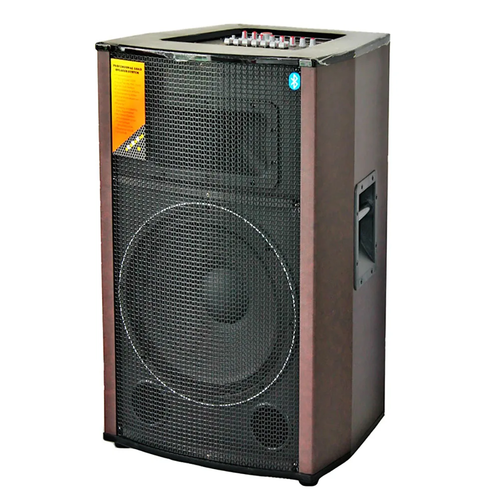 15 Inch Professional Active Speaker