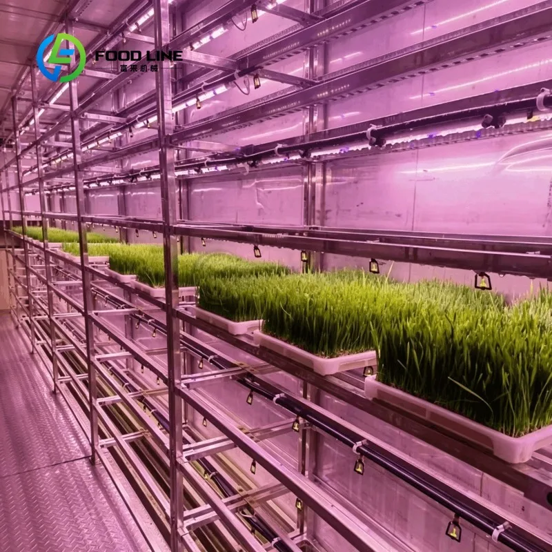 รูปสินค้า Smart Indoor Mushroom & Veggie Grower