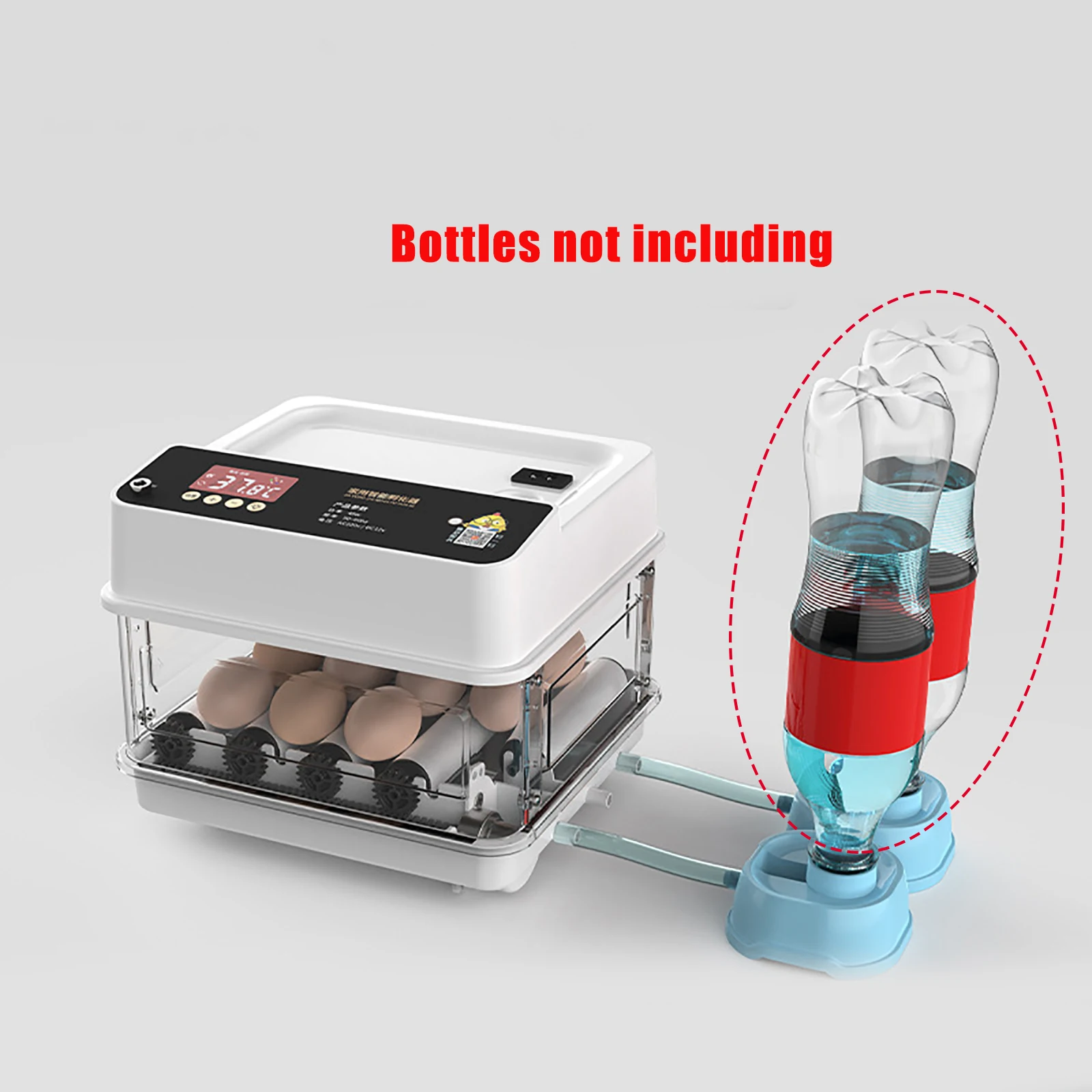 10 Egg Type EU Plug