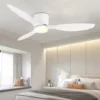 Modern Ceiling Fan with LED Light, DC Motor, Large Air Volume, Remote Control for Kitchen, Bedroom, Dining Room, Patio 1