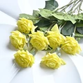 Yellow rose