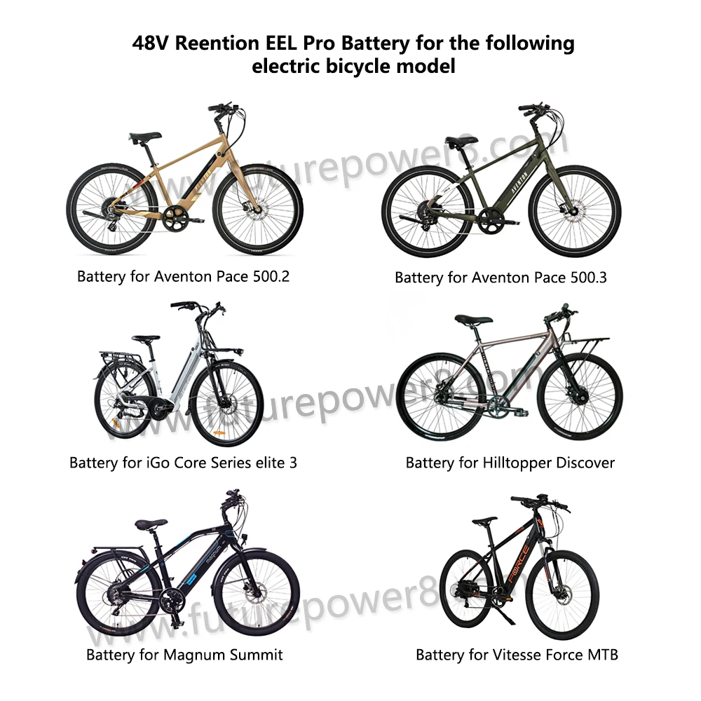 48V Ebike battery 12Ah 14Ah 12.8Ah for Leon Cycle NCM Moscow M3 Replacement Batteries iGo Core Series elite 3 lithium battery pack