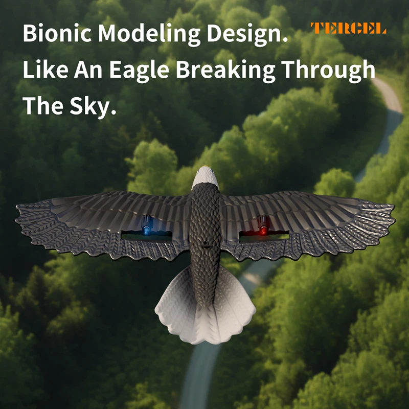 RC Plane 2.4G 420MM Wingspan Eagle Airplane EPP Foam Aircraft Glider Remote Control Plane Glider For Boys Toys 2