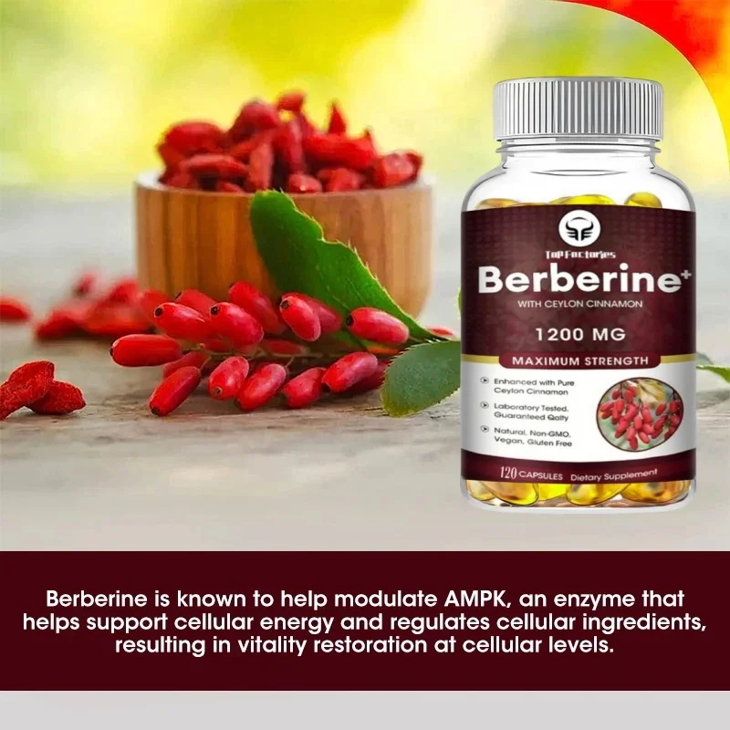Berberine HCl 1200mg 120 Capsules Vegetarian Supplement Gluten Free NonGMO for Digestive