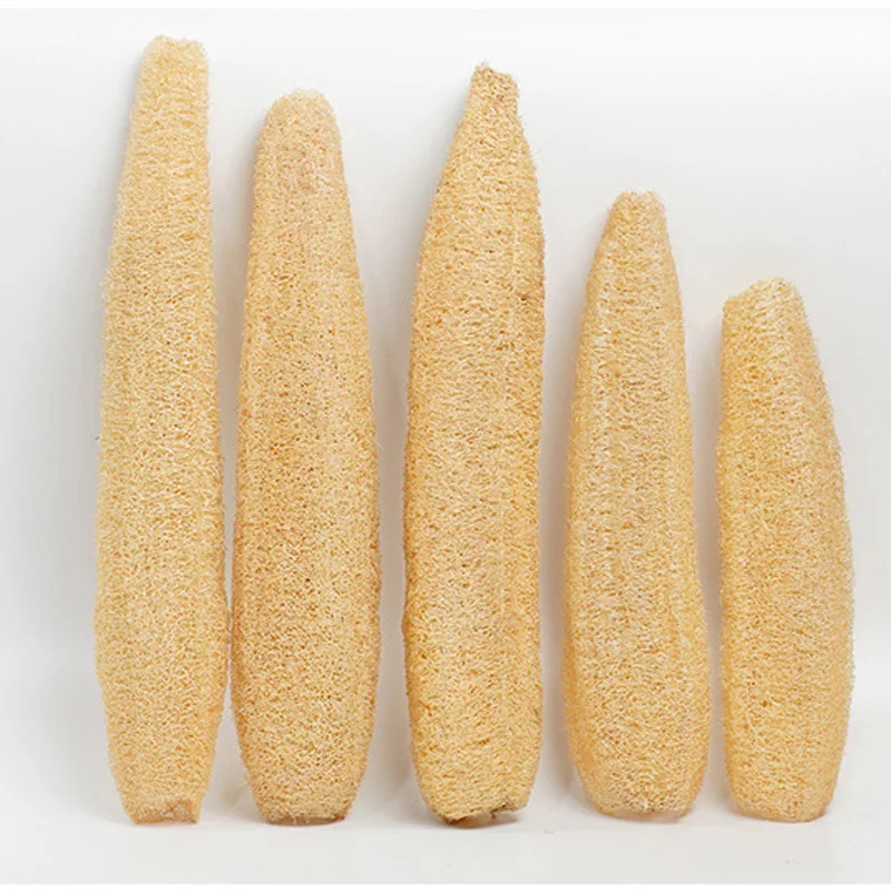 One Whole Shower Loofah About 30-40cm 100% Natural SPA Beauty Bath Sponge Body Scrubber puff Exfoliating Lofa Loofa Luffa Loffa 4