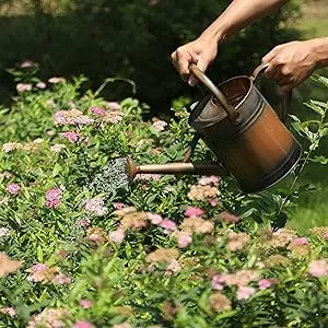 watering can outdoor