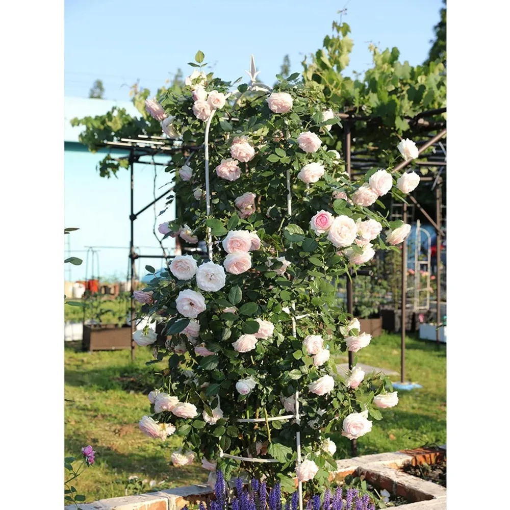 Garden Tower Metal Obelisk Trellis Plant Support 5