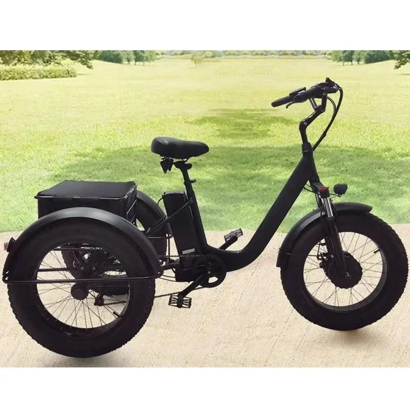 3 Wheel Electric bicycle 500W Powerful Motor 48V10AH Remove lithium battery Snow E-bike 20 inch Fat Tire Cargo Electric Tricycle